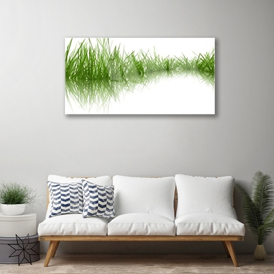 Quadro vetro acrilico Erba Natura Pianta