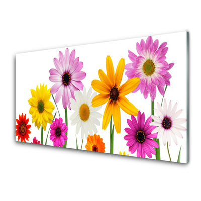 Quadro acrilico Fiori colorati della natura