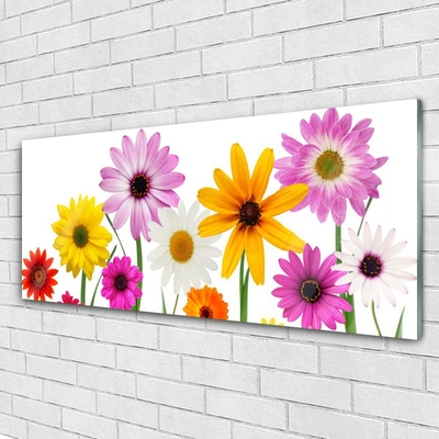 Quadro acrilico Fiori colorati della natura