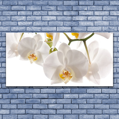 Quadro acrilico Fiori di orchidea Natura