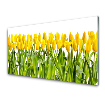 Quadro su vetro acrilico Tulipani, fiori, natura