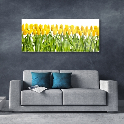 Quadro su vetro acrilico Tulipani, fiori, natura