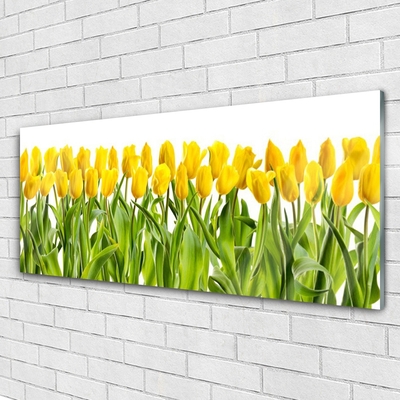 Quadro su vetro acrilico Tulipani, fiori, natura