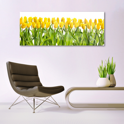 Quadro su vetro acrilico Tulipani, fiori, natura