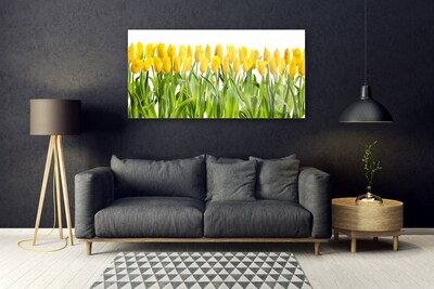 Quadro su vetro acrilico Tulipani, fiori, natura