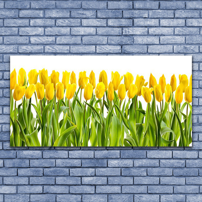 Quadro su vetro acrilico Tulipani, fiori, natura