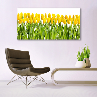 Quadro su vetro acrilico Tulipani, fiori, natura