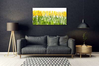 Quadro su vetro acrilico Tulipani, fiori, natura