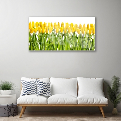 Quadro su vetro acrilico Tulipani, fiori, natura