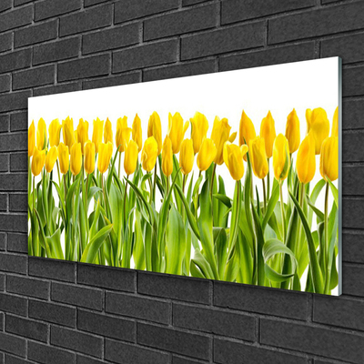 Quadro su vetro acrilico Tulipani, fiori, natura