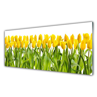 Quadro su vetro acrilico Tulipani, fiori, natura