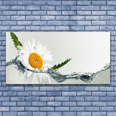 Quadro acrilico Margherita in acqua Pianta