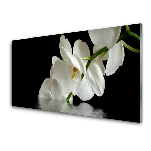 Quadro su vetro acrilico Orchidea in fiori d'acqua