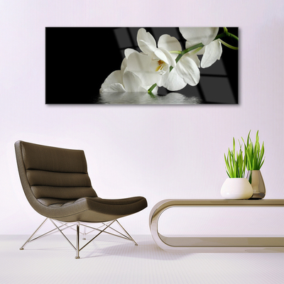 Quadro su vetro acrilico Orchidea in fiori d'acqua