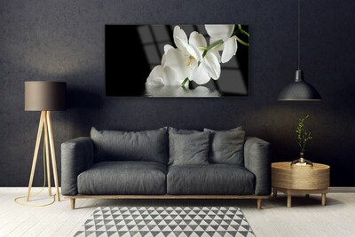 Quadro su vetro acrilico Orchidea in fiori d'acqua