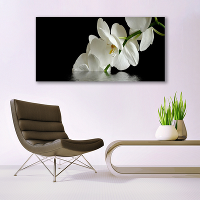 Quadro su vetro acrilico Orchidea in fiori d'acqua