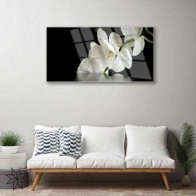 Quadro su vetro acrilico Orchidea in fiori d'acqua