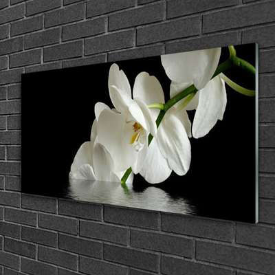 Quadro su vetro acrilico Orchidea in fiori d'acqua