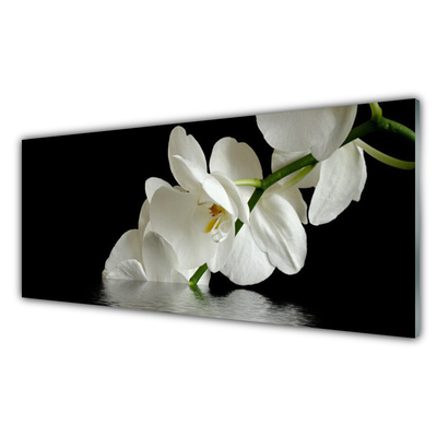 Quadro su vetro acrilico Orchidea in fiori d'acqua