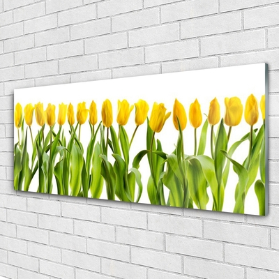 Quadro acrilico Tulipani, fiori, natura