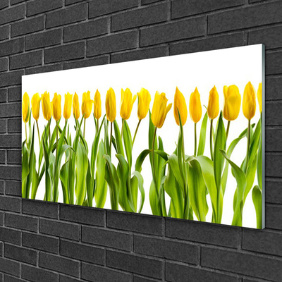 Quadro acrilico Tulipani, fiori, natura