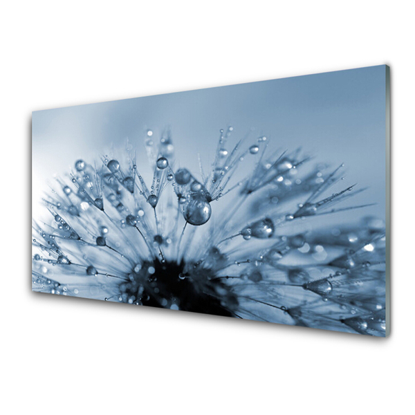 Quadro vetro acrilico Gocce di fiori di tarassaco