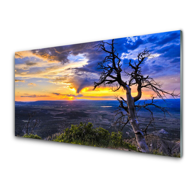 Quadro vetro acrilico Albero al tramonto