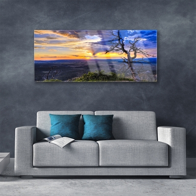 Quadro vetro acrilico Albero al tramonto