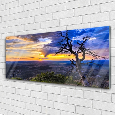 Quadro vetro acrilico Albero al tramonto