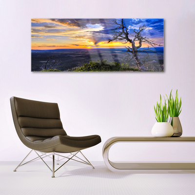 Quadro vetro acrilico Albero al tramonto