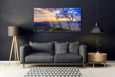 Quadro vetro acrilico Albero al tramonto