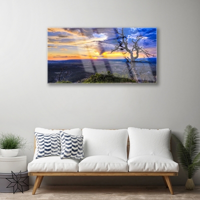 Quadro vetro acrilico Albero al tramonto