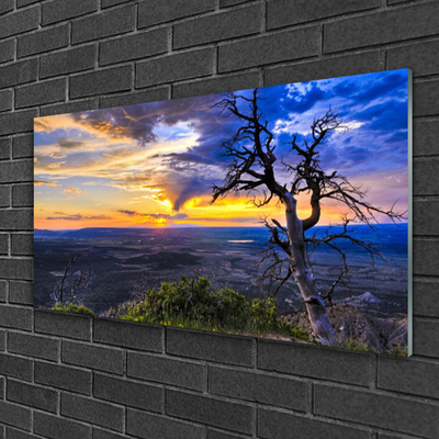 Quadro vetro acrilico Albero al tramonto