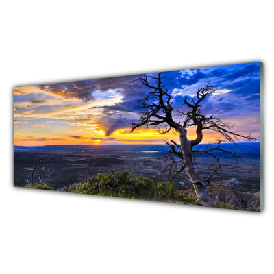 Quadro vetro acrilico Albero al tramonto