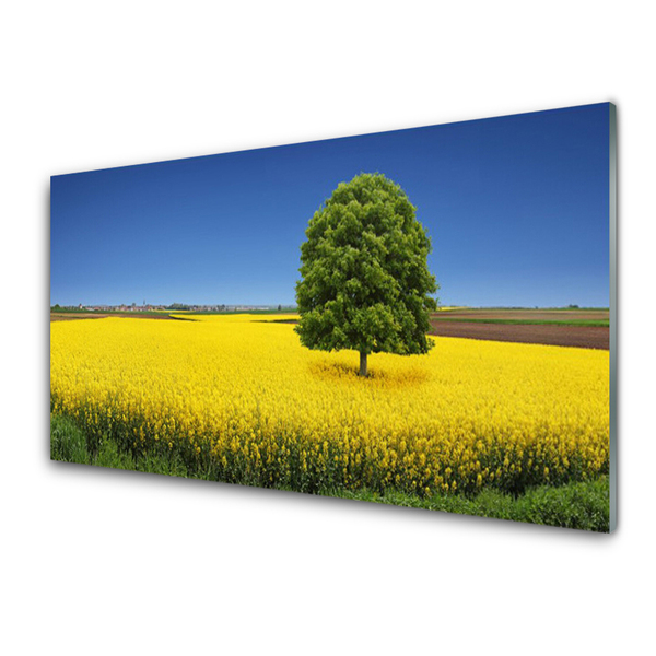 Quadro in vetro acrilico Prato, albero, natura, campo