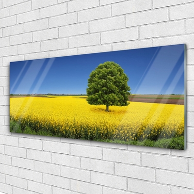 Quadro in vetro acrilico Prato, albero, natura, campo