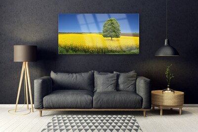 Quadro in vetro acrilico Prato, albero, natura, campo