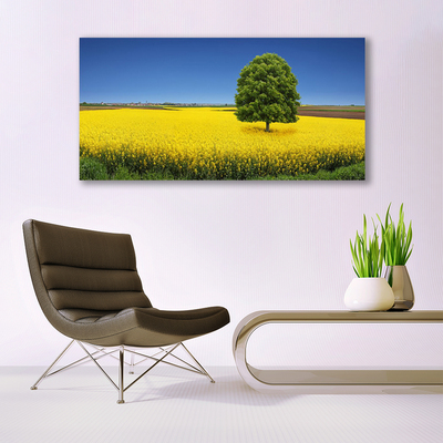 Quadro in vetro acrilico Prato, albero, natura, campo