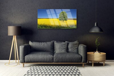 Quadro in vetro acrilico Prato, albero, natura, campo