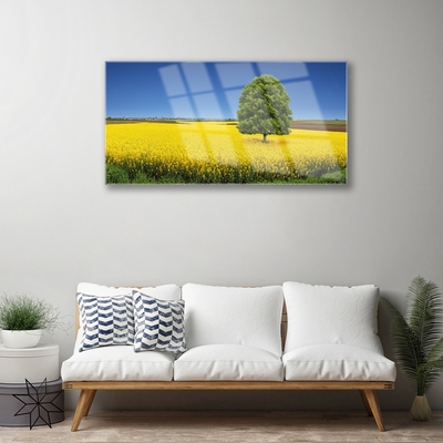 Quadro in vetro acrilico Prato, albero, natura, campo