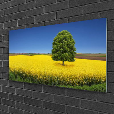 Quadro in vetro acrilico Prato, albero, natura, campo