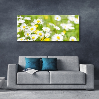 Quadro vetro acrilico Pianta di fiori di margherita