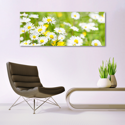 Quadro vetro acrilico Pianta di fiori di margherita