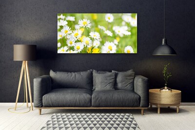 Quadro vetro acrilico Pianta di fiori di margherita