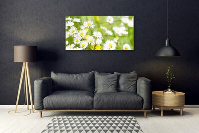 Quadro vetro acrilico Pianta di fiori di margherita