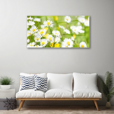 Quadro vetro acrilico Pianta di fiori di margherita