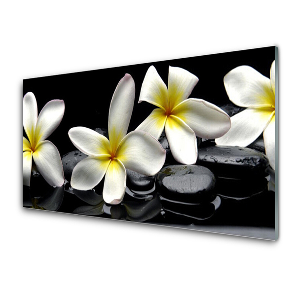 Quadro acrilico Bellissimo fiore di Plumeria