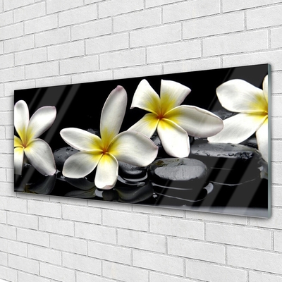 Quadro acrilico Bellissimo fiore di Plumeria