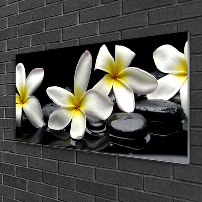 Quadro acrilico Bellissimo fiore di Plumeria