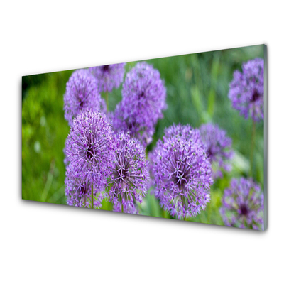 Quadro su vetro acrilico Fiori viola del prato